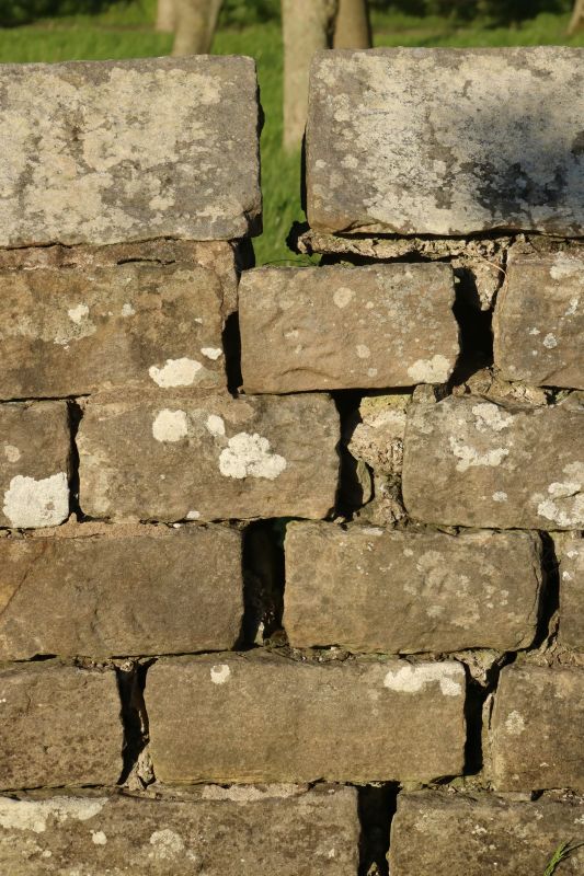 Stone Wall Repair in Henry County, GA